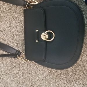 Badgley mischka purse